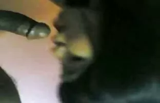XXX भाऊ आणि बहीण vsypayut चुंबन विशाल स्तन स्तन आई