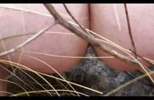 XXX तरुण प्रियकर Fucks एक लज्जतदार मुलगी, आणि, पती