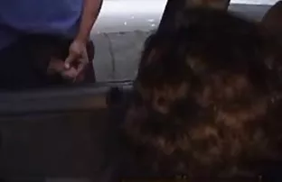 XXX मध्ये Fucked राहील दोन्ही सुंदर दाट तपकिरी रंगाचे केस आणि तिच्या तोंडात दिला