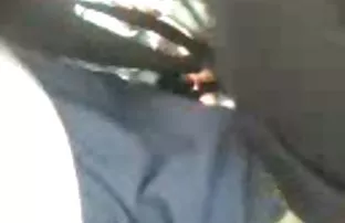 XXX संभोग मांजर सह व्यापक अनुभव नाही