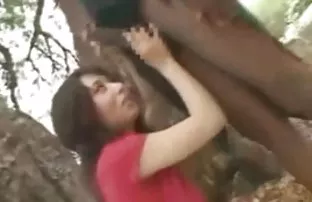 XXX भयंकर चरबी रांड चोखणे तीन बूल्ला